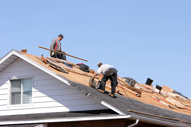 Best Roof Maintenance and Cleaning  in Fairfield, OH